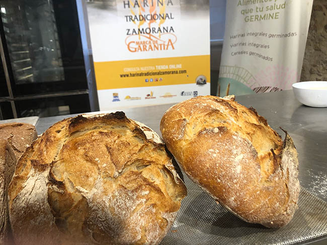 Panes con Harina Tradicional Zamorana